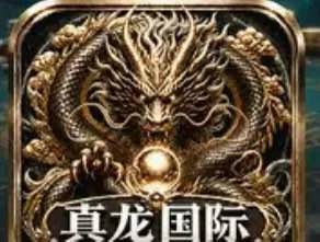 真龙国际
